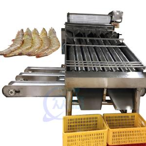 Wholesale Seafood process equipment shrimp washing grading machine Shrimp production line shrimp washing grading machine from china suppliers