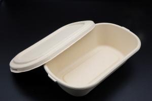 Wholesale Bento Biodegradable Disposable Dinnerware Salad Compostable Takeaway Container from china suppliers