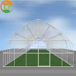 Film Cover Material Hot-dipped Galvanized Frame Agricultural Greenhouse in 6m/8m