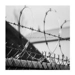Double Twist PVC Barbed Wire Razor Wire at Affordable for 7.5cm-15cm Barb