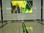 1R1G1B High Definition Led Display P1.53 Indoor Led Advertising Screen