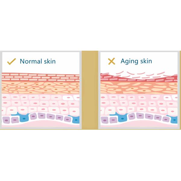 30g Fish Collagen Supplement Orally Or Applied Externally Fight Aging Lock In Moisture