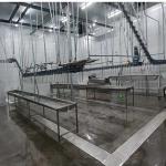 Stainless Steel Chicken Slaughtering Line Machine Solution for Poultry