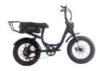 Custom 2 Seat Electric Fat Tire Bike with 15AH Battery Capacity and 20 Inch in