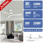 Modern Style 50 Inches Iron Blades Metal Ceiling Fan with Remote Control from