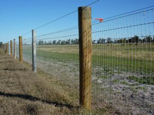 Wholesale Galvanized Steel Wire Mesh Fence Animal field fence cost Zoo Wild Fencing Roll from china suppliers
