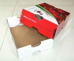 Wholesale custom corrugated paper fruit box from china suppliers