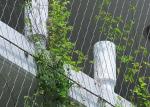 AISI316 X Tend Wire Rope Plant Trellis , Stainless Steel Wire For Climbing