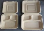 Disposable biodegradable takeaway bagasse sugarcane pulp food container with lid