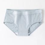 Brief Womens Hipster Cotton Panties Solid Pattern Plus Size Antibacterial