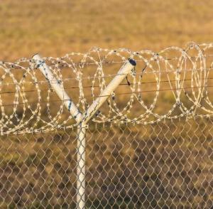 Wholesale 500 M Barbed Galvanised Razor Wire Anti Climb Bird Protective from china suppliers