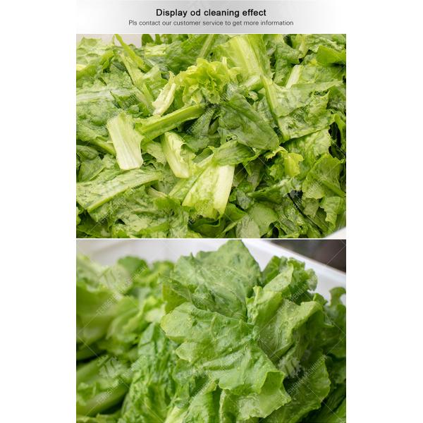 2.6KW Commercial fruit and vegetable bubble cleaner high pressure spray to remove vegetable residue washing machine