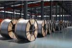 Power Transmission Overhead Bare Aluminum Conductors ACSR AAC AAAC Acss