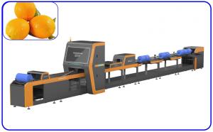 Wholesale Fertile Orange Grading Machine 50Hz 380V Intelligent High Speed Sorting Machine from china suppliers