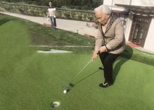 Wholesale 20-25mm PE PP Field Golf/Gate Ball Course Artificial Turf from china suppliers