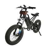 Customized 48V 13AH 1000W High Speed Dirt Bike Off-road Fat Tire Ebike with