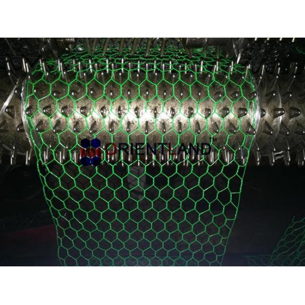 0.4-2mm Gauge Chicken Pvc Coated Hexagonal Wire Mesh 1-500m Per Roll Galvanized Hex Netting