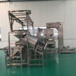 304 Stainless Steel Peanut Frying Processing Line 500kg/h 1000kg/h Capacity
