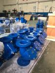 PN16 PN25 ductile cast iron Y type flanged strainers for pipelines