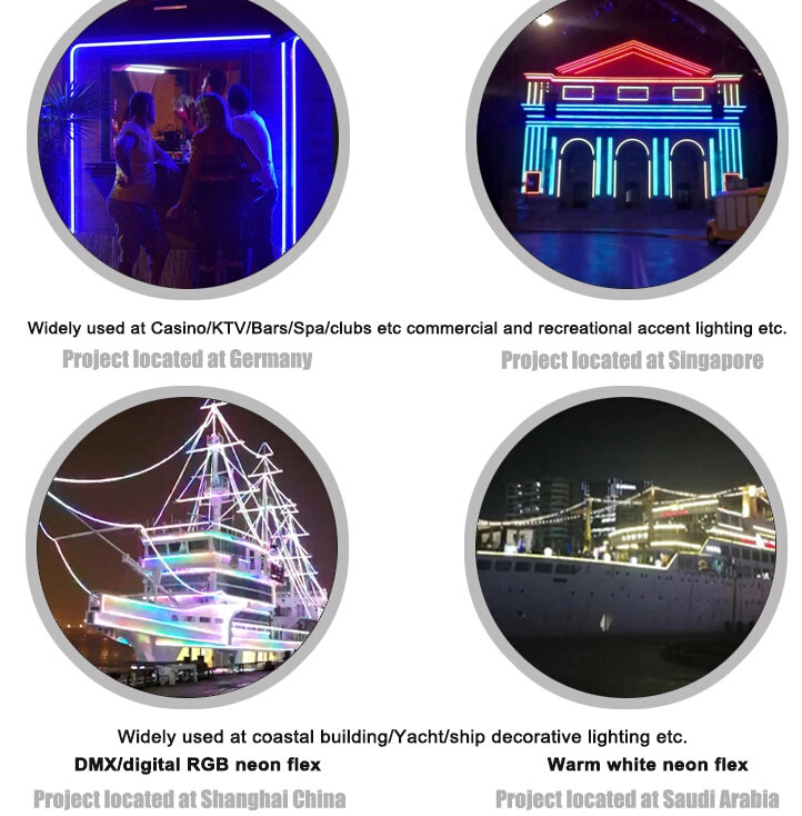 2019 Hot Product Fresh Lighting 2110 CRI>90 Series led flex strip rope light