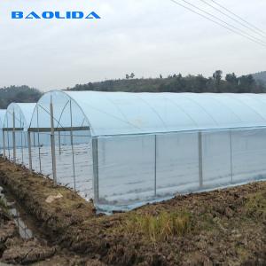 Wholesale Rolling Benches Seedling Nursery Tunnel Growing 4.5m Multi Span Greenhouse from china suppliers