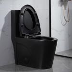 One-Piece Elongated Dual-Flush Toilet With Skirted Trapway White Black 680mm