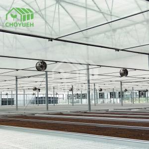 China 8mm All Glass Greenhouse For All Weather Wind Resistance on sale