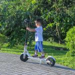 EcoRider 2 Wheels Self Balancing Scooters 500W 8.5 Inch 36V Xiaomi Scooter