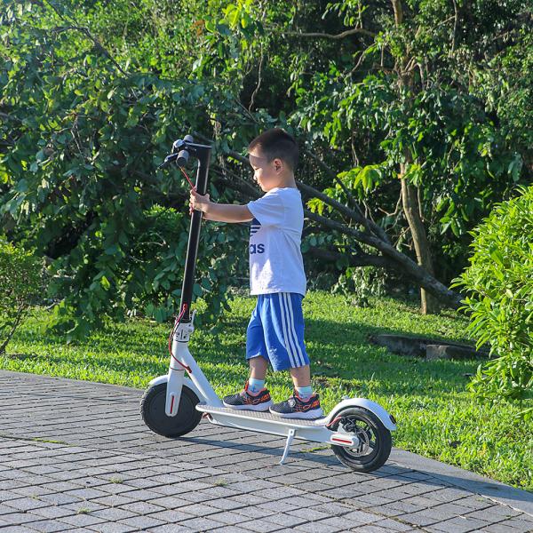EcoRider 2 Wheels Self Balancing Scooters 500W 8.5 Inch 36V Xiaomi Scooter