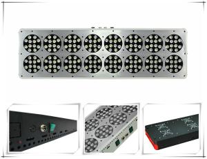 Wholesale CIDLY 3 watt chip 600 watt full spectrum led grow lights Greenhouse led grow lighting from china suppliers