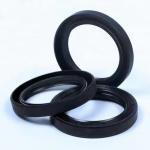 Manufacture Sell Standard Oil Seal for Hydraulic Pump Rubber Seal customized