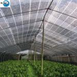 HDPE Screen Nets for Vinyl Fence Privacy Protection UV Resistant Waterproof