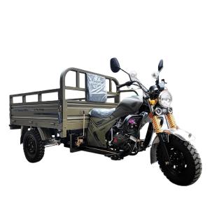 Wholesale Three Wheel Motorcycle Scooter Trike Petrol Type Motorcycle 1000W Motor for 1 Passenger from china suppliers