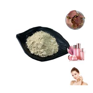 Wholesale Health Care Pomegranate Peel Extract Water Soluble Powder Ellagic Acid 40% from china suppliers