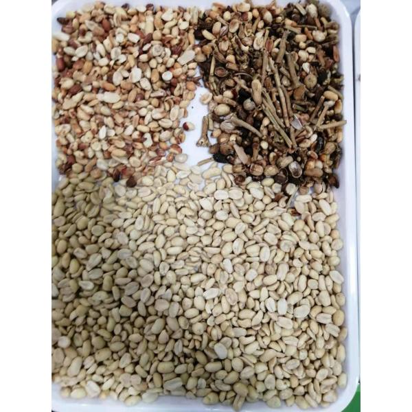 Peanut Groundnut Optical Sorting Machine High Accuracy Stainless Steel Almond Raisin Sorter