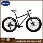 Chromoly 26 Inch Mountain Bike Fat Tires