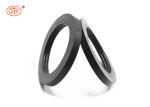 Weathering Resistant Black FKM FPM Automotive Rubber Seals ISO9001