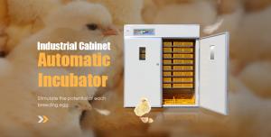 Wholesale Industrial Automatic Egg Hatching Incubator Double-Layer Observation Window 220v from china suppliers