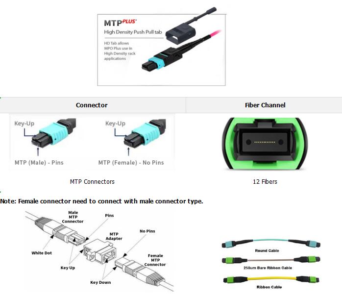 12 Fibers MTP Female To MTP Female OM4 3.0mm LSZH MTP Patch Cord Custom Meters