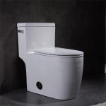 Csa Certification Siphonic One Piece Toilet Round Bowl Flushing Side Holes