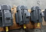 Cast Iron 2 Pole IP44 1HP 0.75KW Three Phase Ac Motor