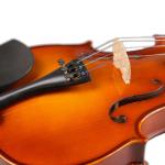 Hot selling guarneri violins hand painted violin popular in stock The back and