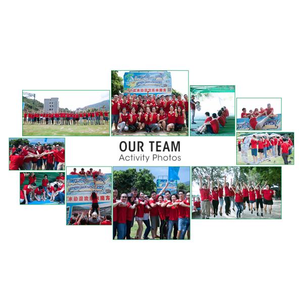 240V Toroidal Transformer 100W 100VA for 12V 24V 48V Conversion