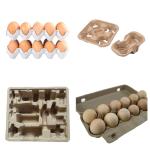 Automatic Paper Egg / Apple Tray Making Machine With Stainless Steel Forming