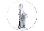 HOT!!! NEW Model Four Handles Cryolipolysis Fat Freezing Machine For Weight Loss