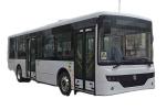 Dongfeng City Bus 10-33 Seat Customize Energy Bus with Electric Motor