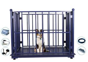 Wholesale 2M Livestock Weighing Scales , 5T Digital Livestock Scales from china suppliers