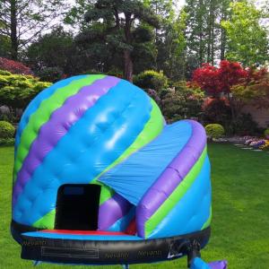 Wholesale Commercial Inflatable Bouncy Castle with Customized Size and Bluey Bounce House Design from china suppliers