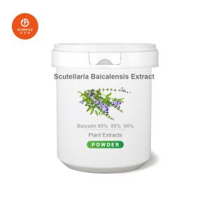 Wholesale Scutellaria Baicalensis Extract 85.0% Baicalin Light Yellow Powder CAS No. 21967-41-9 from china suppliers