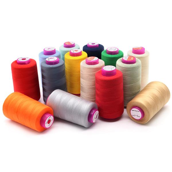 OEM/ODM Accepted 100g 20s/2 Polyester Sewing Thread in 1000 Colors for Textile
